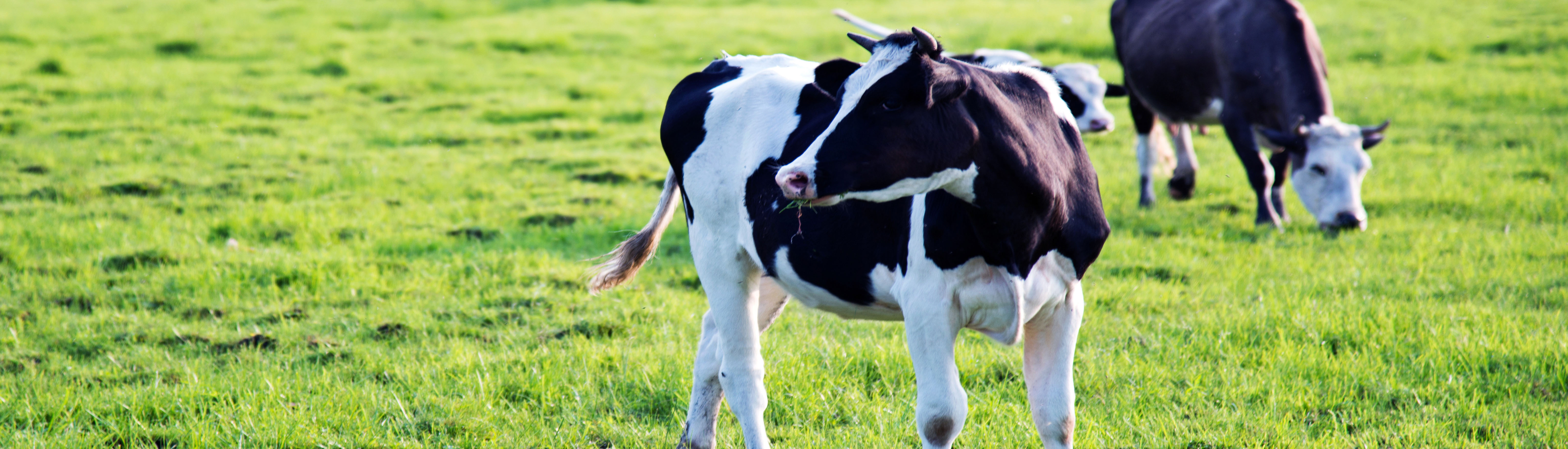 login_֡һ¶ȵϷƽ̨