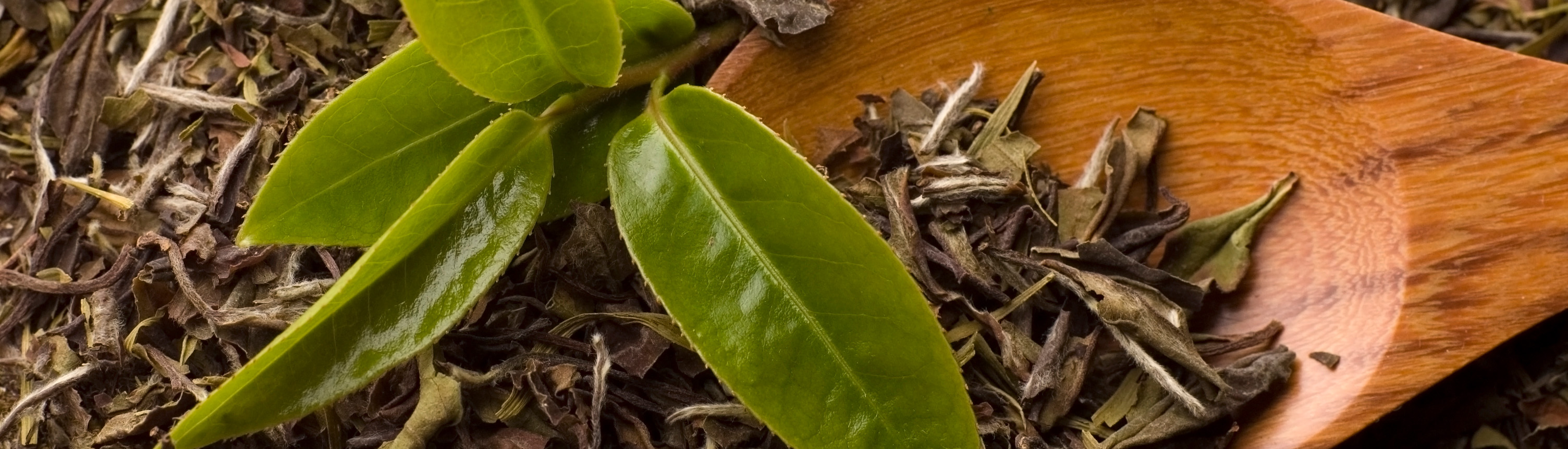 login_�������֡�һ�����¶ȵ���Ϸƽ̨��